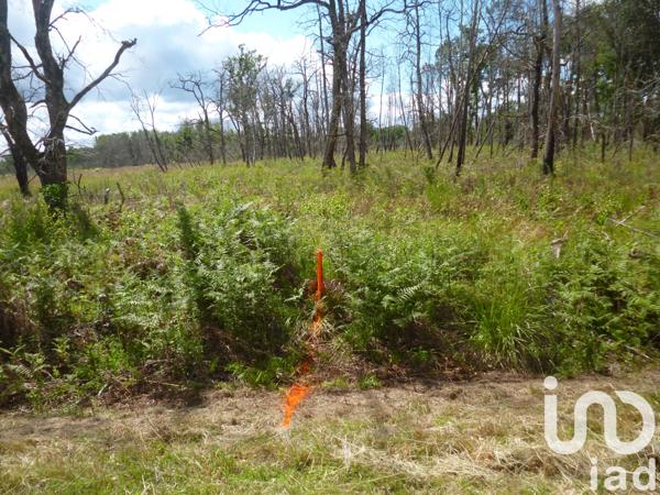 Terrain à vendre 2 005 m² Mano