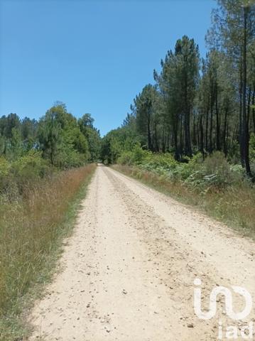 Terrain à vendre 2 005 m² Mano