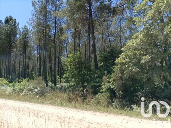 Terrain à vendre 2 005 m² Mano