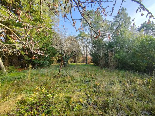 Maison de 90,05m² et dépendance d'environ 30m² sur 3 000m² de terrain avec piscine