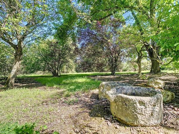Construite pour durer. Le parc arboré a eu cinquante ans pour devenir remarquable