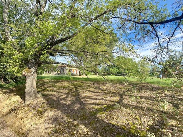 Construite pour durer. Le parc arboré a eu cinquante ans pour devenir remarquable