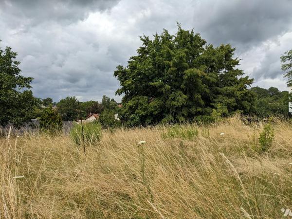 Terrain à bâtir desservi par les réseaux mais non raccordé situé dans une ruelle très calme.