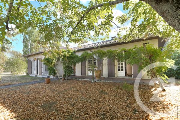 Maison à vendre  6 pièces - 150 m 2   ST JEAN  - 31