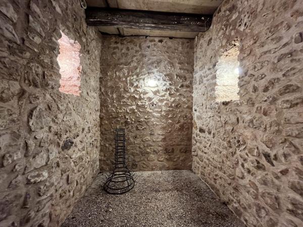 Villa dans les arbres à Quinçay