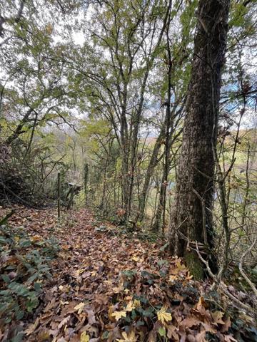 Villa dans les arbres à Quinçay