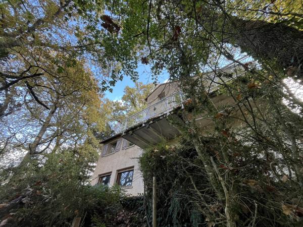 Villa dans les arbres à Quinçay