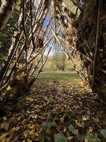 Villa dans les arbres à Quinçay