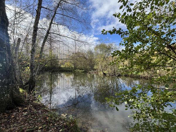 Villa dans les arbres à Quinçay