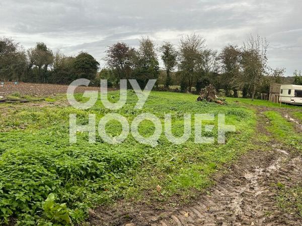 A VENDRE à ALEMBON - Terrain constructible de 1063 m2