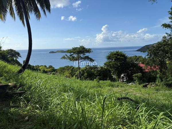 Terrain vue mer des Caraibes