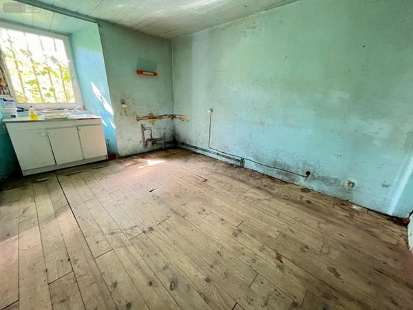 Maison à vendre à Saint-Étienne-de-Chomeil dans le Cantal (15400), ref : 48T-15029