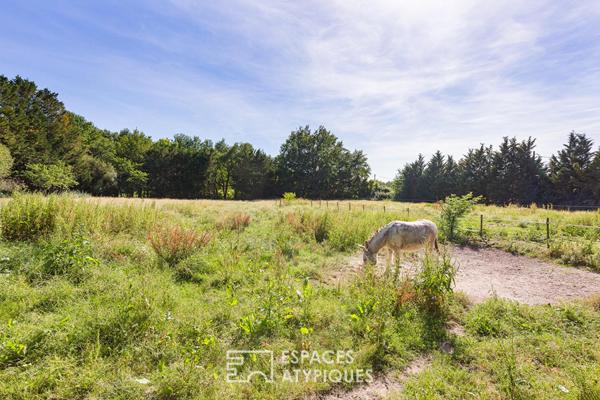 Authentique Mas dans son écrin de verdure avec piscine