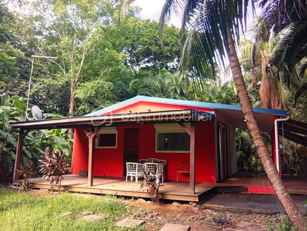 À seulement 100 mètres de la mer des Caraïbes, découvrez cette maison de plain-pied de 44 m², idéalement située à Pointe-Noire, dans un secteur recherché, à proximité des commerces et des commodités.

Elle se compose d'un séjour lumineux ouvert sur une agréable terrasse, de deux chambres, d'une cuisine, d'une salle d'eau avec WC, ainsi que d'une seconde terrasse exposée plein ouest, idéale pour profiter des magnifiques couchers de soleil.

Édifiée sur un terrain de 321 m², cette propriété offre également une opportunité rare : la possibilité d'acquérir 1 000 m² de terrain supplémentaires, permettant la réalisation d'un projet de construction d'environ 350 m² (sous réserve des autorisations d'urbanisme en vigueur). Un véritable atout pour développer des hébergements touristiques ou un projet immobilier.

La maison est équipée de :
- Brasseurs d'air,
- Chauffe-eau solaire,
- Assainissement individuel,
- Portail.

Un rafraîchissement et une mise au goût du jour permettront de révéler tout le potentiel de ce bien.

Les atouts : 
✅ À seulement 100 m de la mer des Caraïbes
✅ Secteur recherché de Pointe-Noire
✅ À 10 minutes de Malendure
✅ À 15 minutes de Deshaies
✅ Deux terrasses, dont une exposée ouest
✅ Possibilité d'acquérir 1 000 m² supplémentaires constructibles (environ 350 m² de surface de construction possible, sous réserve des autorisations)
✅ Forte demande en location saisonnière sur le secteur
✅ Proche des commerces et des commodités

Que vous recherchiez une résidence secondaire, un investissement locatif ou un projet touristique, cette propriété représente une belle opportunité dans l'un des secteurs les plus attractifs de la Côte sous le Vent.

Vous souhaitez en savoir plus ou organiser une visite ? Contactez-moi dès aujourd'hui. Je vous accompagnerai avec professionnalisme, disponibilité et transparence dans la réussite de votre projet immobilier.