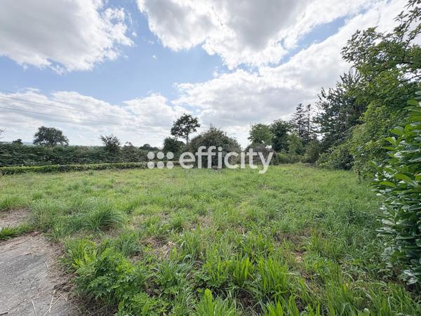 Maison 4 pièces - 62 m² Exclusivité efficity