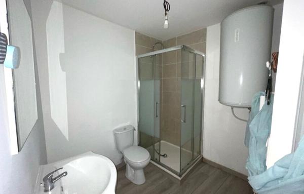 IMMEUBLE- COMMERCE ET APPARTEMENTS-CENTRE VILLE