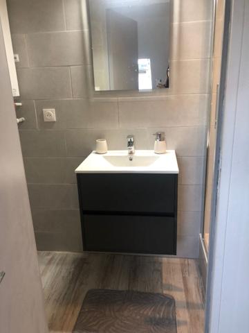 Appartement Schiltigheim 1 pièce 23.74 m2 au sol