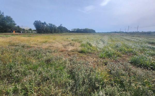 Terrain à vendre    Pierrelatte