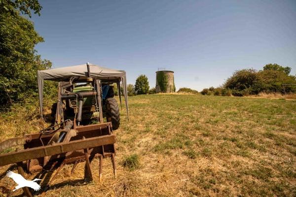 Maison à vendre |  Le Poiré-sur-Velluire |  5 pièces | 251 m²