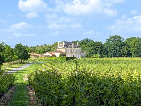 Magnifique manoir de 10 chambres , piscine et 2 maisons d'amis