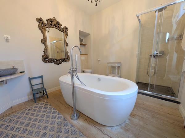 Magnifique manoir de 10 chambres , piscine et 2 maisons d'amis