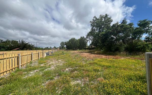 Terrain à vendre    Biscarrosse