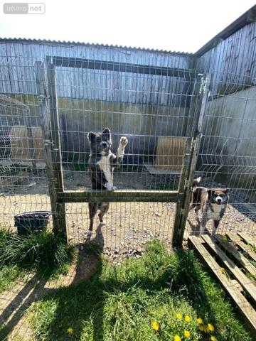 Maison rurale à vendre à Saint-Léger en Mayenne (53480), ref : 53047/131