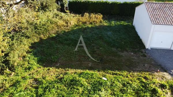 MARTINET - Terrain - 410m²