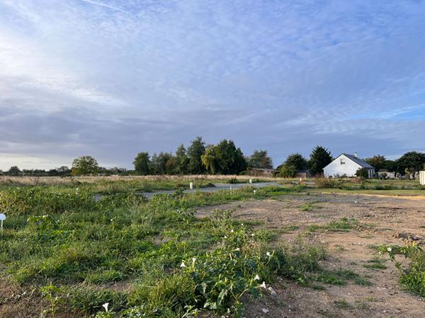 A VENDRE Terrain à La Ménitré- 567 m²