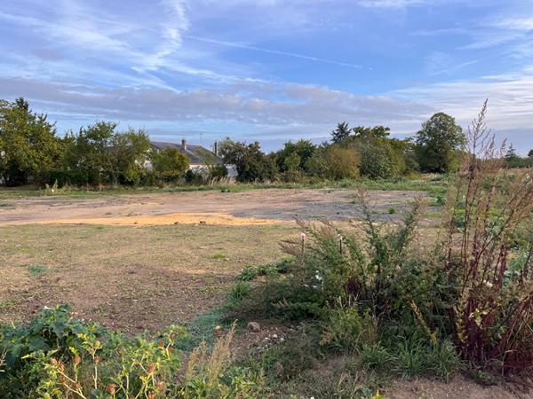 A VENDRE Terrain à La Ménitré- 567 m²