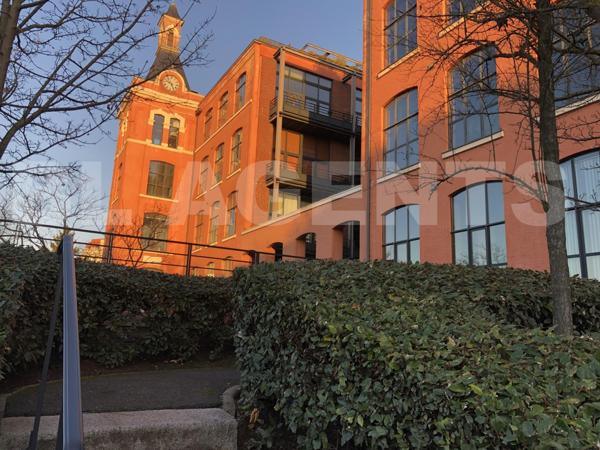 Loft en duplex 2 chambres 