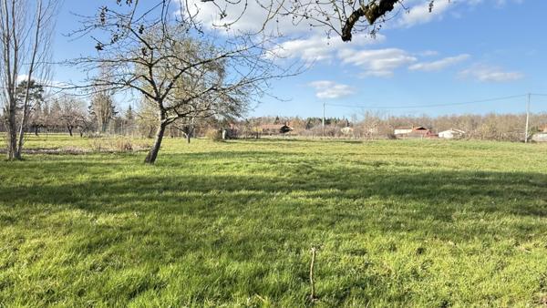 Villeneuve-les-Cerfs (63310) Maison de campagne familiale à rénover entièrement avec terrain et dépendances