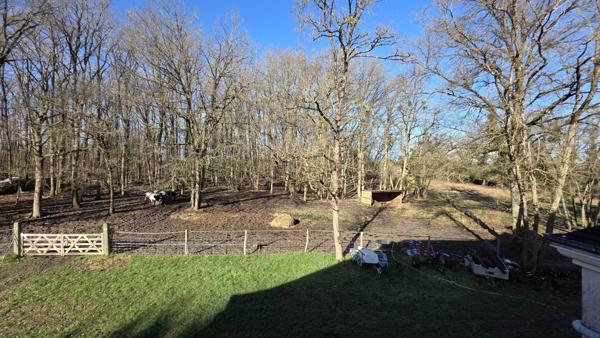 Vente Maison 10 pièces 262 m2 à Gien