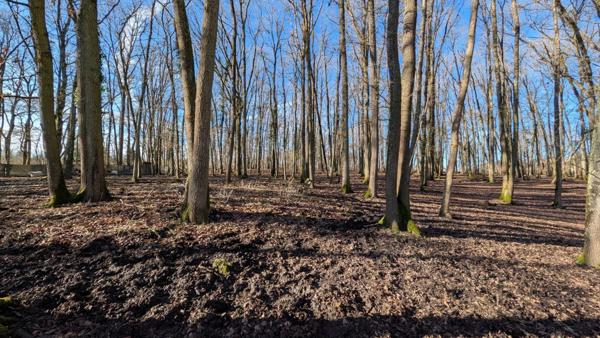 Vente Maison 10 pièces 262 m2 à Gien