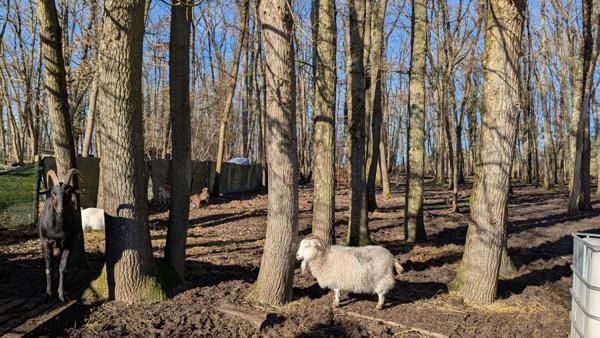 Vente Maison 10 pièces 262 m2 à Gien