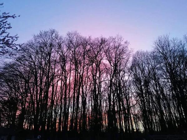 Vente Maison 10 pièces 262 m2 à Gien