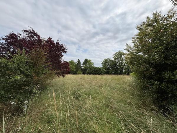 Vente Garage 2100 m2 à Vallans