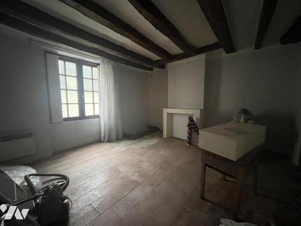 RARE A L'ILE BOUCHARD 