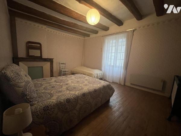 RARE A L'ILE BOUCHARD 