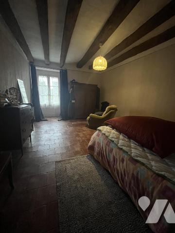 RARE A L'ILE BOUCHARD 