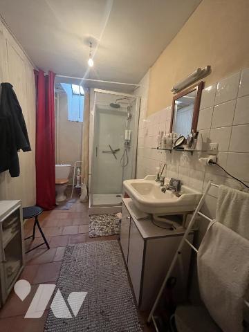 RARE A L'ILE BOUCHARD 