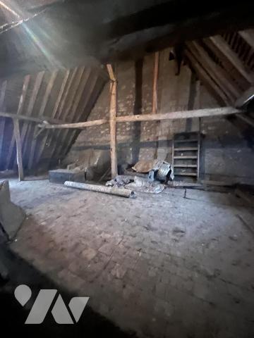 RARE A L'ILE BOUCHARD 