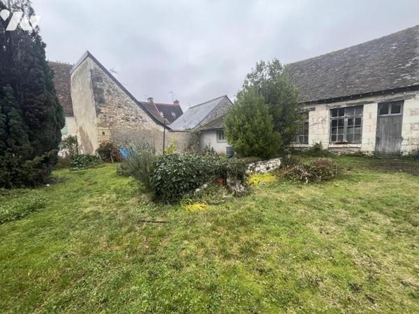 RARE A L'ILE BOUCHARD 