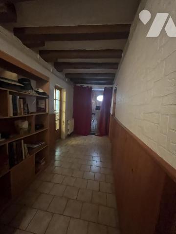 RARE A L'ILE BOUCHARD 