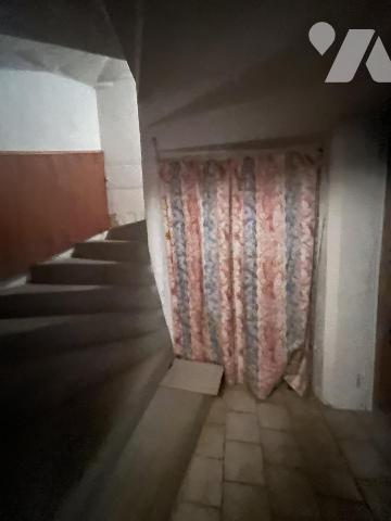 RARE A L'ILE BOUCHARD 