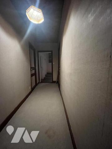 RARE A L'ILE BOUCHARD 