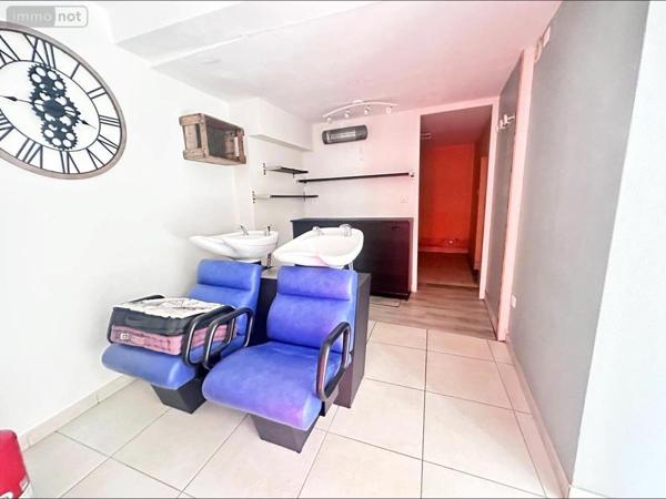 Immeuble à vendre à Azay-le-Rideau dans l'Indre-et-Loire (37190), ref : 37072-650