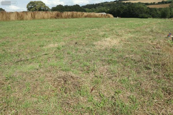 Achat - Terrain à bâtir | Terrain à bâtir Lopérec 29590 675 m 2