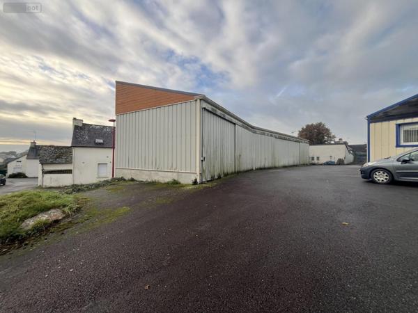 Local Professionnel et commercial à vendre à Guillac dans le Morbihan (56800), ref : VP095-56044