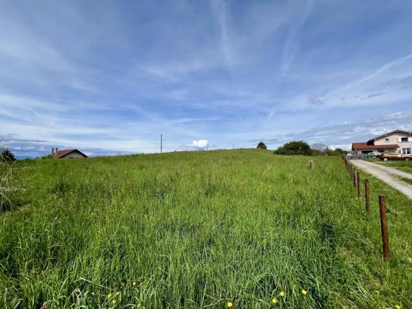 À vendre – Terrain de 1608 m² à Marin (74)